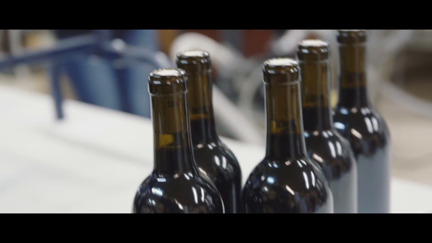 Winery, harvest & production lines